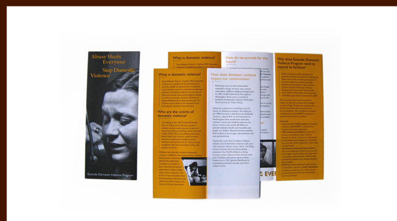 EDVP Q and A brochure
